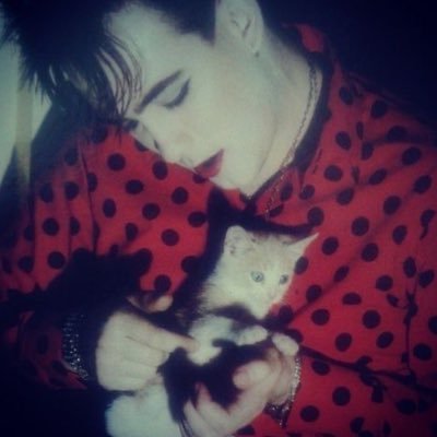 ty_sillaBackSLD's profile picture. 🕸️ ~ 22 ~ 🦇