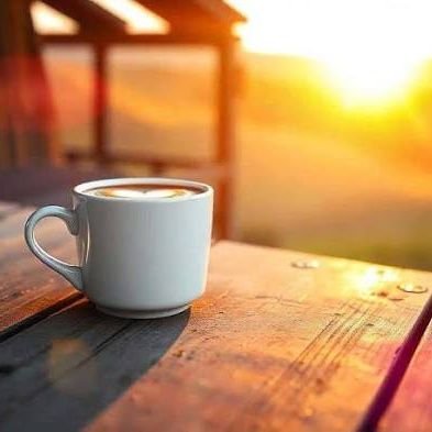 techtok17's profile picture. 