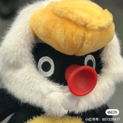 catcatcatFL's profile picture. 喵喵喵