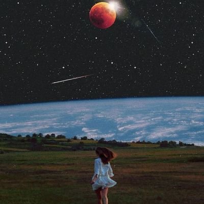 stellarquirk9's profile picture. 