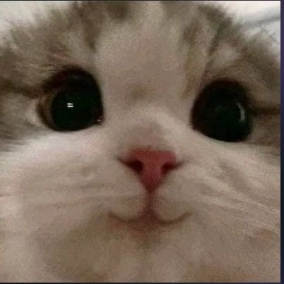 ą¤®ą¤¹ą¤¾ą¤ą¤¾ą¤°ą¤¤ ą¤¹ą„ ą¤ą„वन ą¤¹ą„ą„¤
Real Eyes, Realize, Real Lies.. š