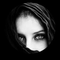 🕊️رياح الشمال🕊️ (@zu_lf_a) 's Twitter Profile