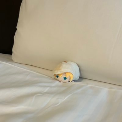 閲覧垢 20↓ 型月とか刀とか 男女CPメイン 腐は一部△(自衛します) 2.5◎ ステミュ全部見る 妄言を一日三万回吐き散らかすためブロミュ推奨