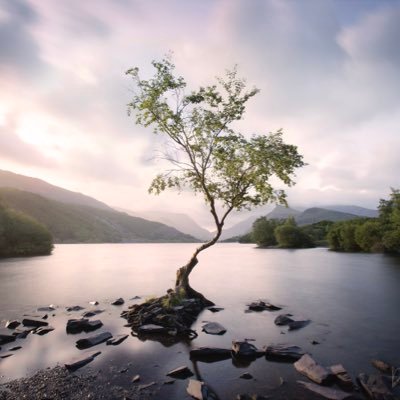 danjeoryphoto's profile picture. 