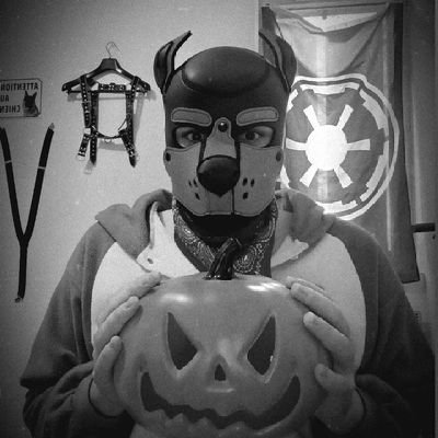 Bluetnightpuppy's profile picture. 