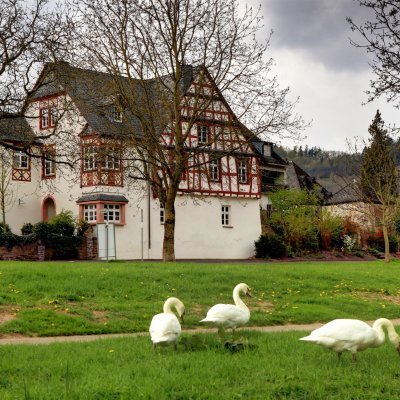 Jaymvaldezx's profile picture. You can easily judge the character of a man by how he treats those who can do nothing for him.