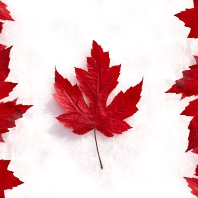 Finleyvecker's profile picture. The word 'happiness' would lose its meaning if it were not balanced by sadness.