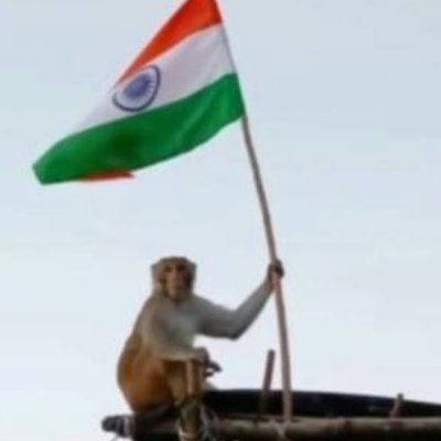 cholo459464's profile picture. Realpolitik Analysis: Demographics India
Road to WW3 (2030-2036)