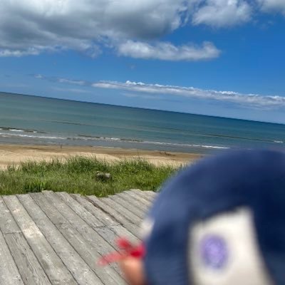 ccさんのプロフィール画像