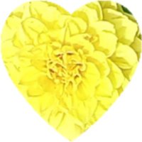 Sue (@itt39354118) 's Twitter Profile Photo Sue (@itt39354118) 's Twitter Profile Photo