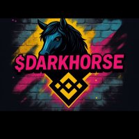 DarkHorseOnBNB (@darkhorseonbnb) 's Twitter Profile Photo