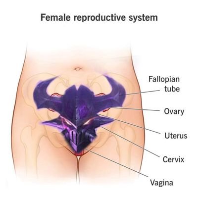 qUmibFTHc8isEaf's profile picture. just go Xcuteme already