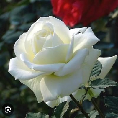 fundaozer06's profile picture. İş insanı