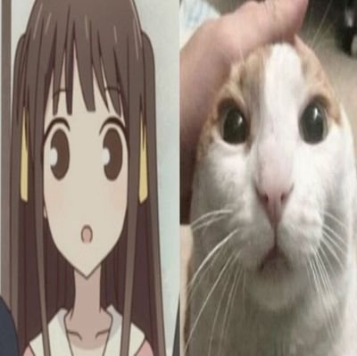 wwocatz's profile picture. ia na talaga