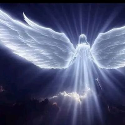 ayoola_lawale's profile picture. #fff
#ekdf
#noluvinthecity