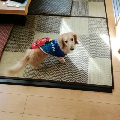BUDDiiSのSHOOT推し 50代バディ BUDDiiSみんな大好きです 細く長く深く推し活しています