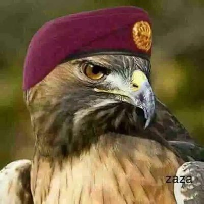 AlAlhb54575's profile picture. أعشق العراق وروحي فداء للعراق العظيم …….. الكرم مرجلة