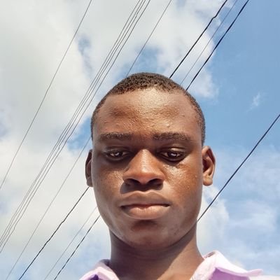 teryiladev's profile picture. 