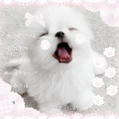 p__q__I's profile picture. ♥@_Lx00a♥