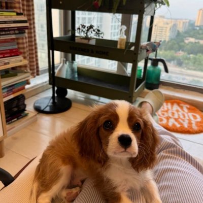 gh_dgd's profile picture. Just a soul with a purpose, trying to make a positive impact.