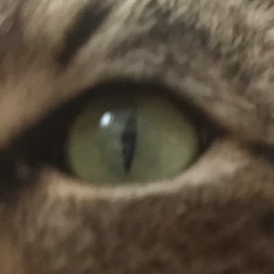 bayionde's profile picture. 