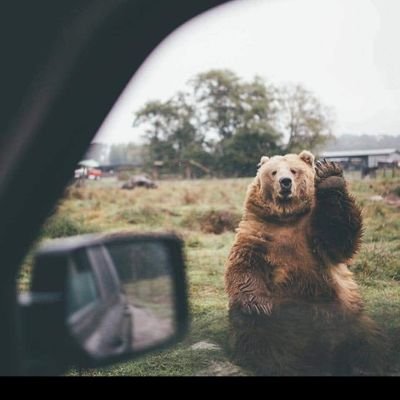 4hX8MKZQwi96806's profile picture. 