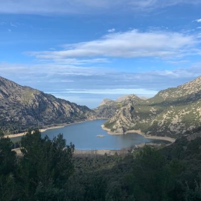 patrickmas04's profile picture. 