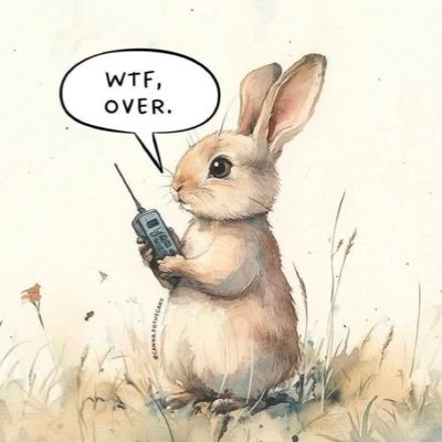 Bluedory12's profile picture. Covid is not over. Gun control NOW. Resist. 😷 🌊✌️