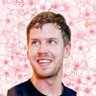 F1ToRuleThemAll's profile picture. ☮︎ the day is saved once more thanks to making it about sebastian vettel