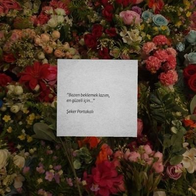 fencin12's profile picture. ✨🌸🌼