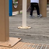 ゆゆゆ (@yuchaman_23) 's Twitter Profile Photo