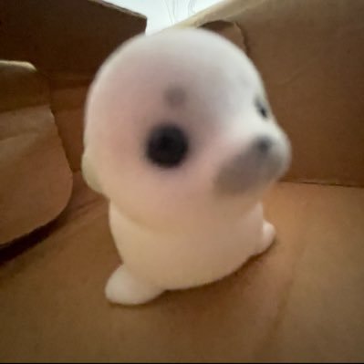 kittycat177777's profile picture. 