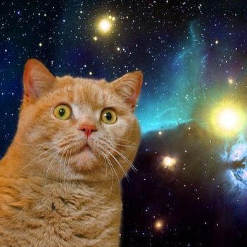 kenji10120's profile picture. 零細Sier企業に勤め始めたよ
30代男、基本情報所持
開発環境はubuntu