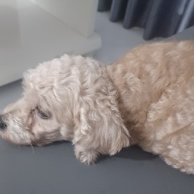 Macl105's profile picture. I dont know