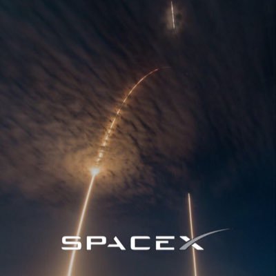 e_space_x9's profile picture. ❤️🇺🇸