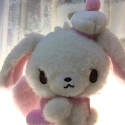 shyesetamdu21's profile picture. 兔狗双全✨ #ROSÉ #도영 #DOYOUNG