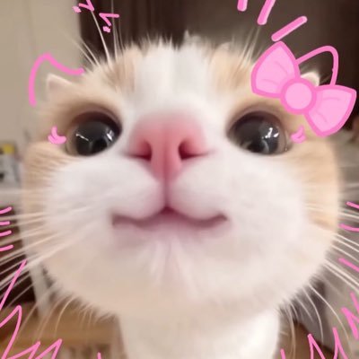 pinepinpine's profile picture. ✨ᴍʏ ꜱᴀꜰᴇ ᴘʟᴀᴄᴇ: ᴛᴇʟꜰɪʀꜱᴛᴏɴᴇ💫 | ยัยแป๋ว🫶🏻พี่เติ้ล