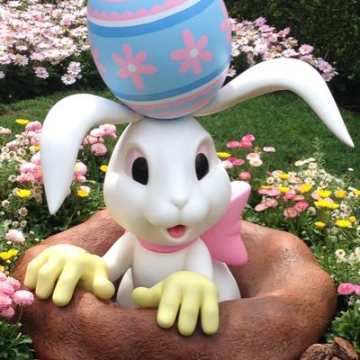 ohana_hawaii_ek's profile picture. いつもフォローありがとうございます😊 ハワイが大好きな会社員です！ 便利なキッチングッズを紹介します！また、日々の生活の中で気付いたことをメモ代わりにアウトプットします。