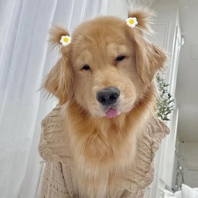 私は優しく、謙虚で、温かい心を持った人間です。人の命を大切にし、動物と自然が大好きです。😊🥰