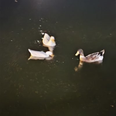 omeratasayar's profile picture. muhasebe