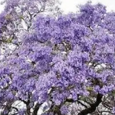 سبحان الله وبحمده سبحان الله العظيم. ،لاحول ولاقوة الابالله