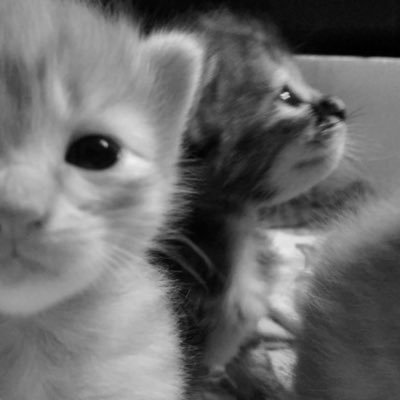 I75248's profile picture. あいがないならもうあえないよー ；；