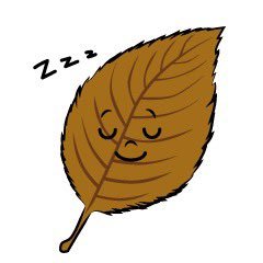 asipin45191's profile picture. こどおじ30歳