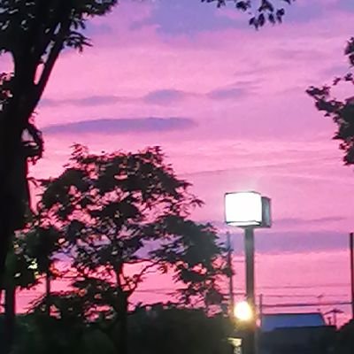 rinhonjo's profile picture. 