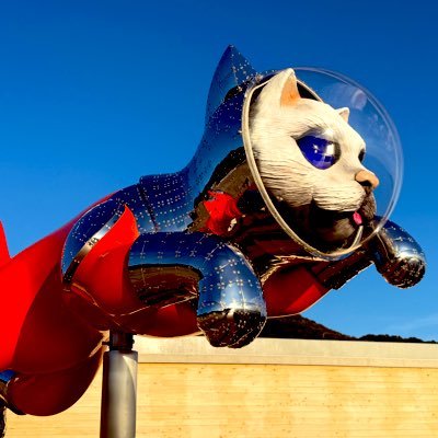 sleepinsonar's profile picture. ライブと呪術廻戦にハマっているひと　遠征貧乏