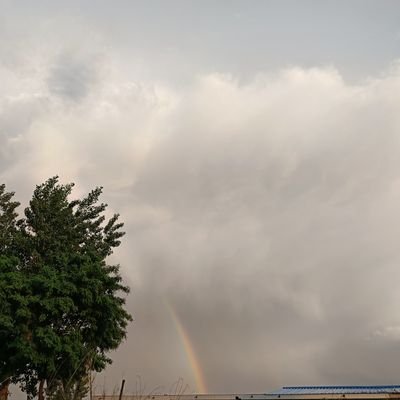 yilian8023's profile picture. 努力加油油！❤️