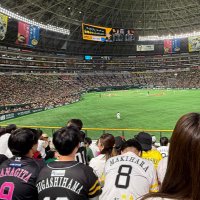 よし (@yoshihwgi9__) 's Twitter Profile Photo