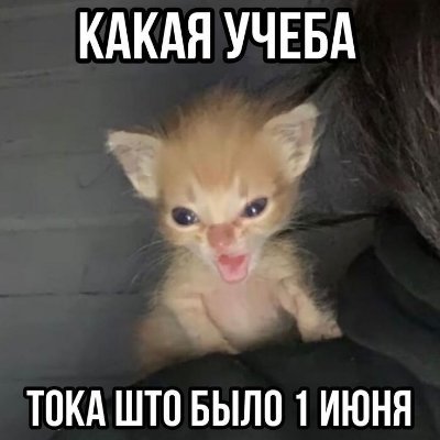 BEAUTIFUL33210's profile picture. 