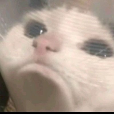 dashaberga's profile picture. 