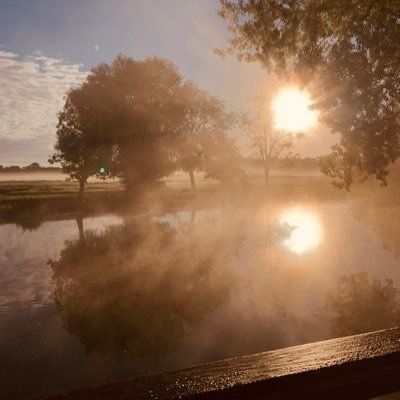 amandagibbons's profile picture. 